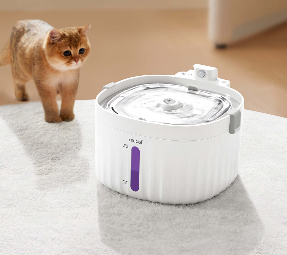🐱 🐶 Fontaine Intelligente Sans Fil - Hydratation Premium & Filtration Avancée (2L Inox 304)