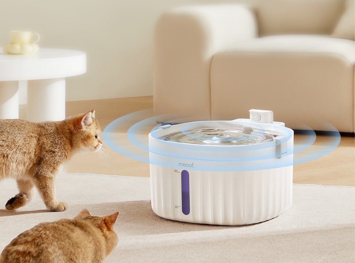 🐱 🐶 Fontaine Intelligente Sans Fil - Hydratation Premium & Filtration Avancée (2L Inox 304)