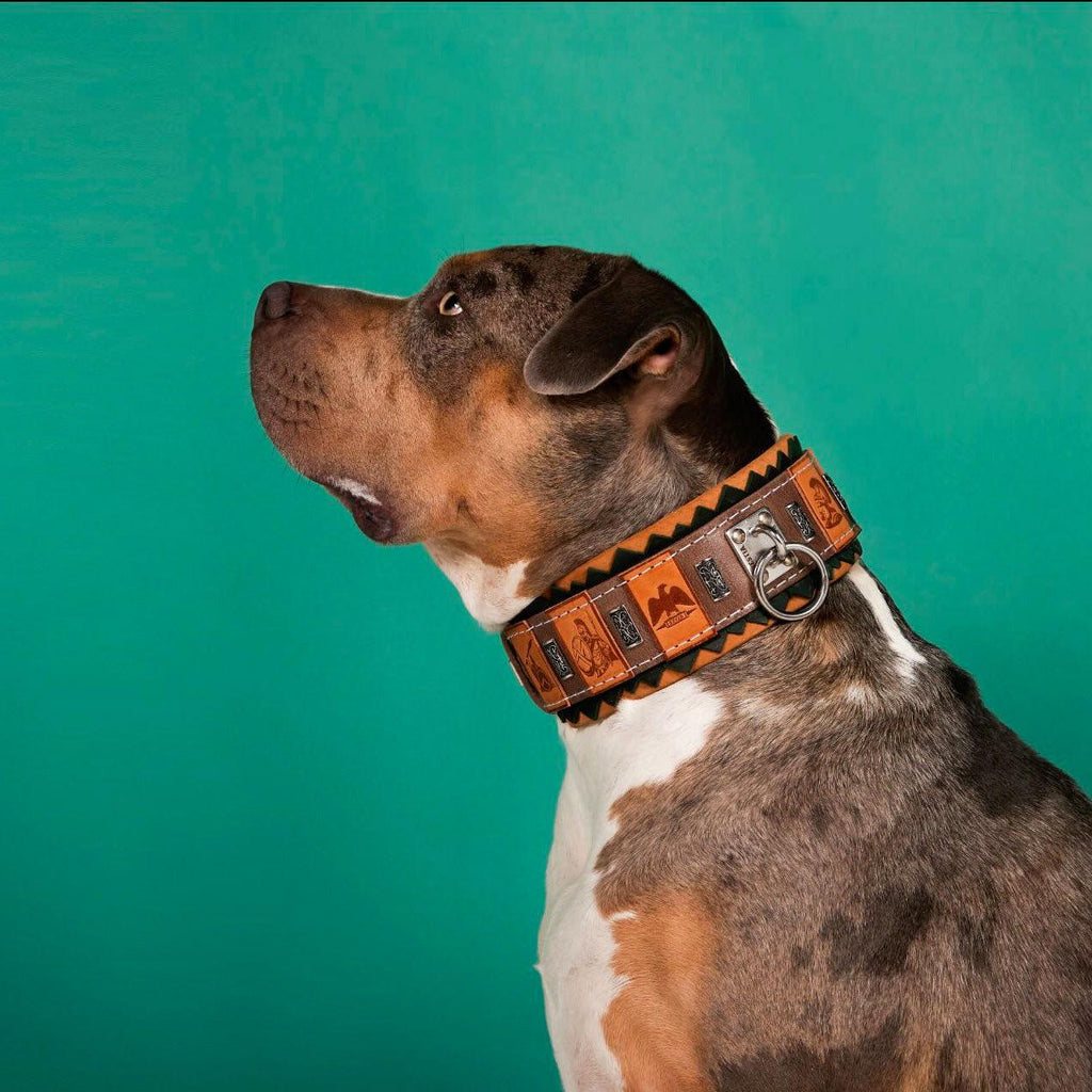 🛡️🐕 SPQR Collar - Imperial Strength, Modern Craft