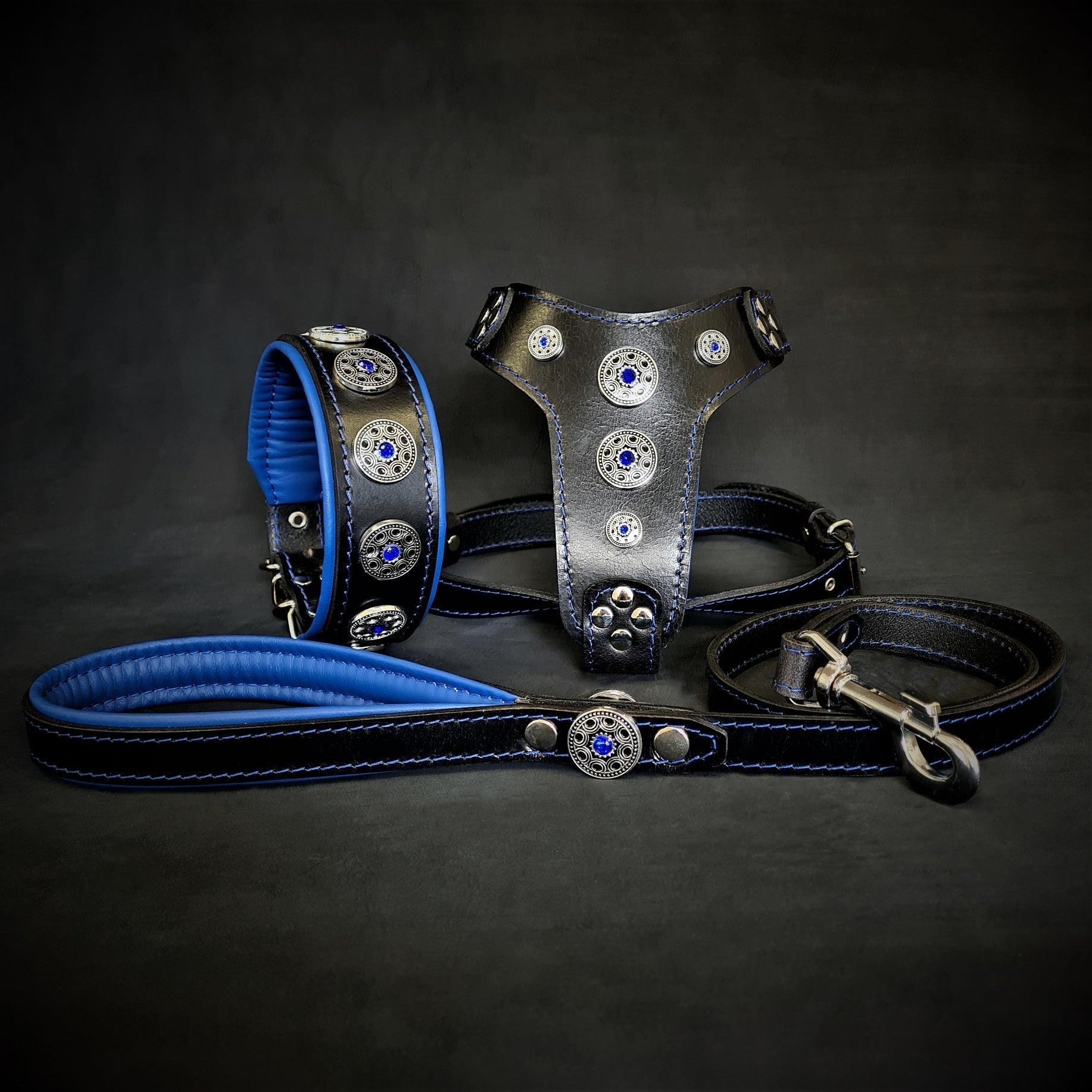 💙✨ SET Bijou Bleu - Collier, Harnais & Laisse | Cuir Premium & Rivets Rhinestones