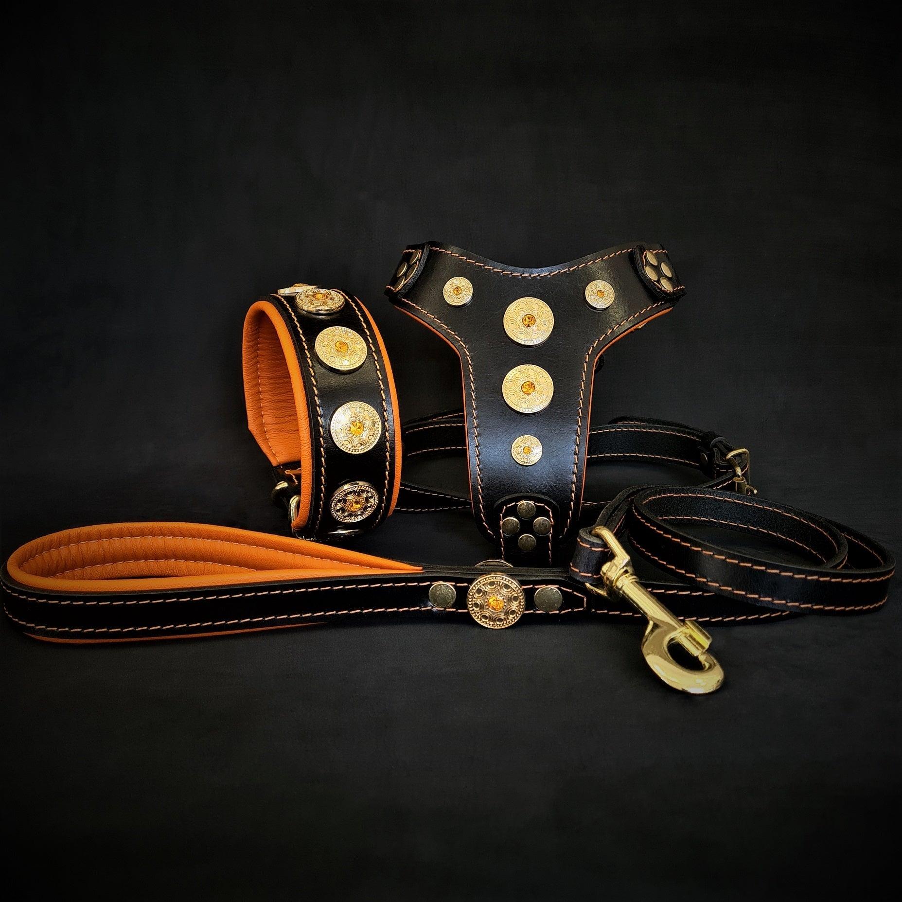🧡 Bijou SET Orange - Collier + Harnais + Laisse | Cuir Premium & Rivets