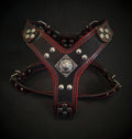 🐕‍🦺 “Eros” Harness - Black & Red (Small to Medium Size)