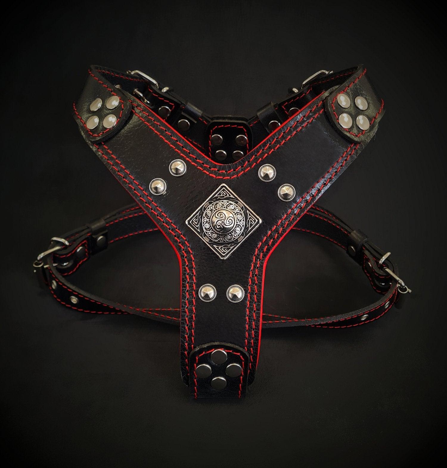 🐕‍🦺 “Eros” Harness - Black & Red (Small to Medium Size)