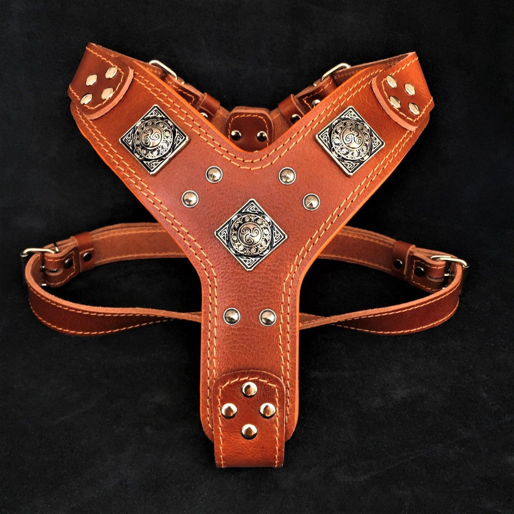 🟤🔥 “Eros” Harness - Brown