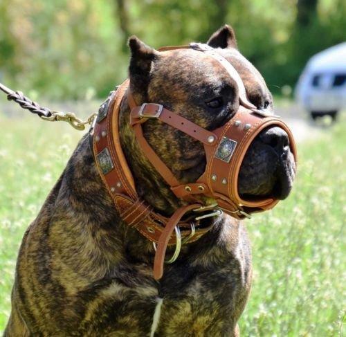 🐺 BESTIA “Eros” Muzzle - Brown