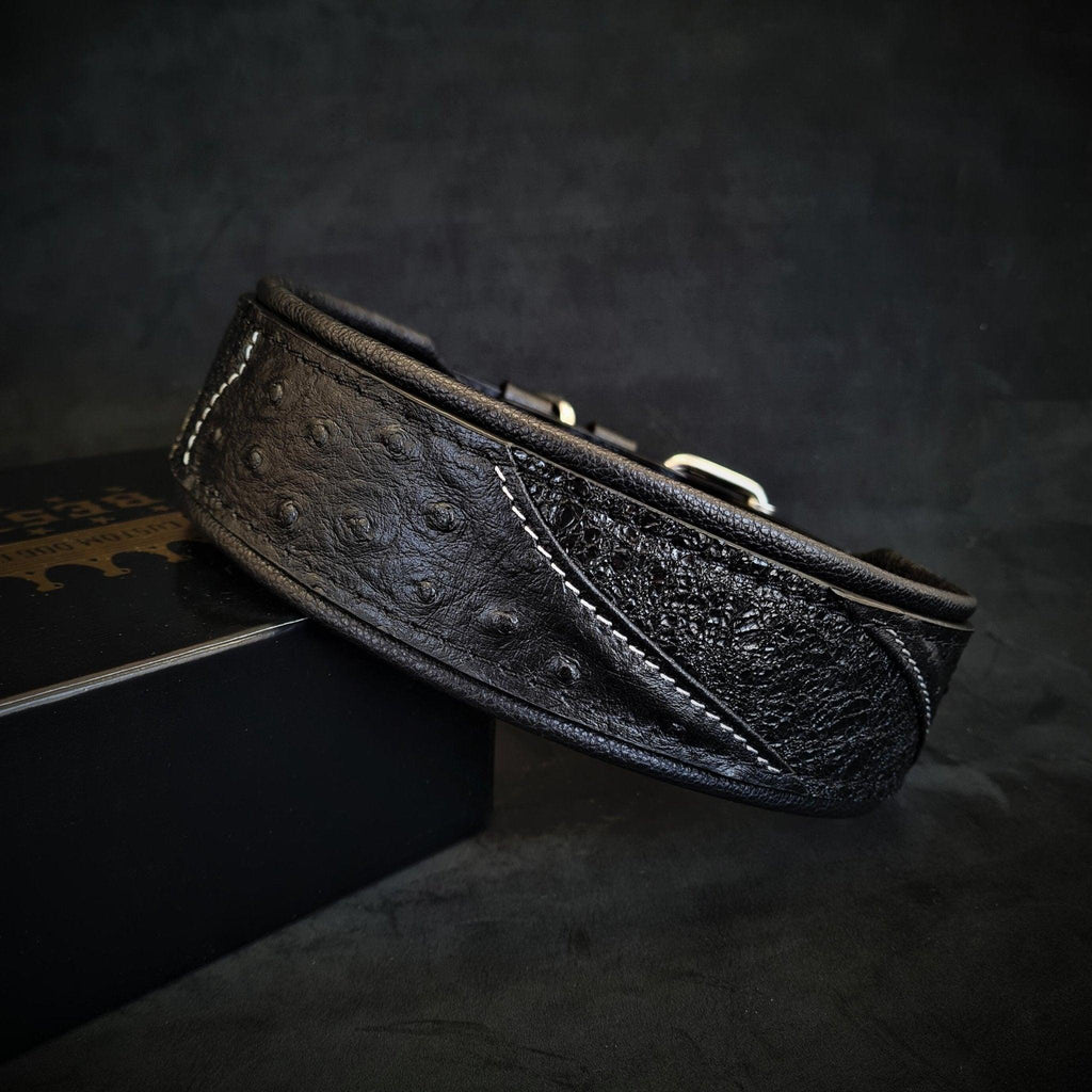 🖤 Korona Collar - BLACK EDITION | Luxe, Éclat & Confort Absolu