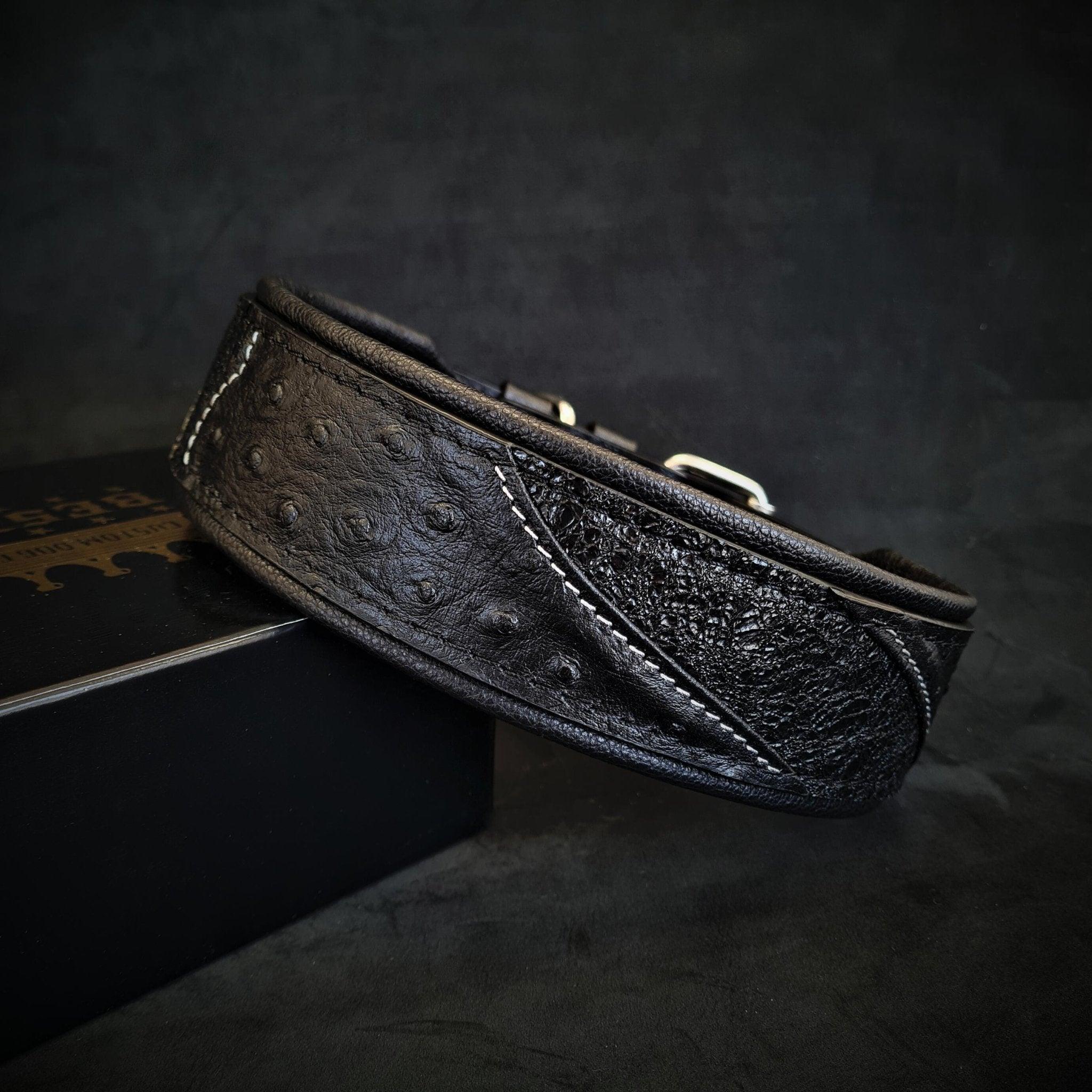 🖤 Korona Collar - BLACK EDITION | Luxe, Éclat & Confort Absolu