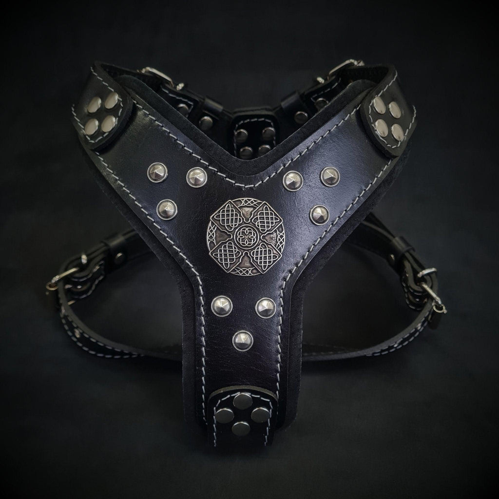 🐕‍🦺 Harnais pour Chien “Maximus” Black & Silver - Cuir Véritable, Conchos Argent, S/M