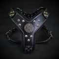 🐕‍🦺 Harnais pour Chien “Maximus” Black & Silver - Cuir Véritable, Conchos Argent, S/M