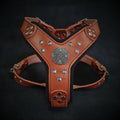 Luxe Artisanal Dog 🐺 MAXIMUS HARNESS - Brown & Silver Edition (Fait Main en Europe)