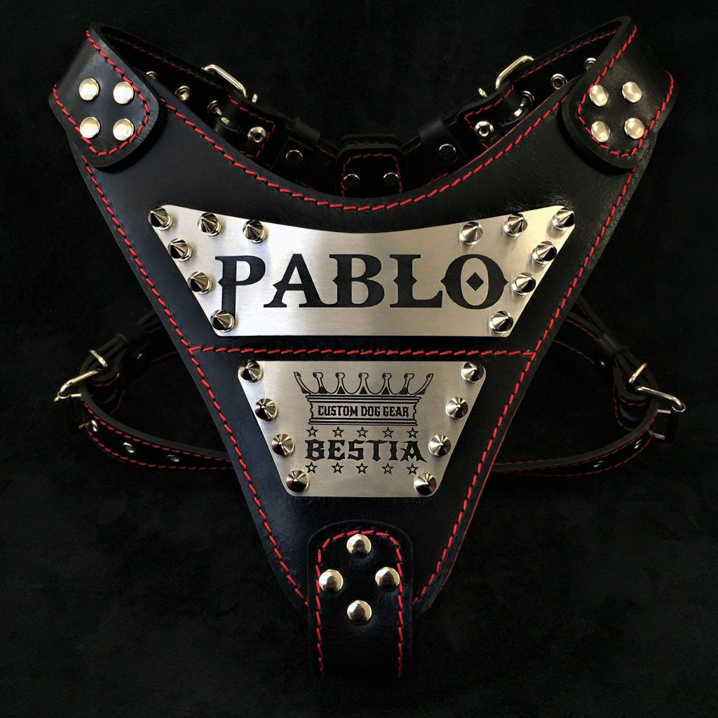 🐶 BESTIA COLLARS® - Harnais “Metal” en Cuir Italien & Plaques Personnalisées (Fait Main en Europe)