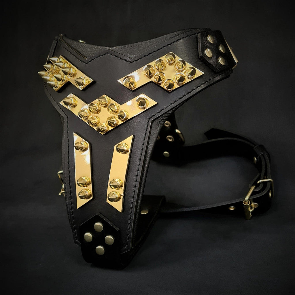 👑 BESTIA “Midas” Harnais Or - Harnais en Cuir Luxe pour Chiens Puissants | Spikes Dorés & Rembourrage Orthopédique | Fait Main en Europe