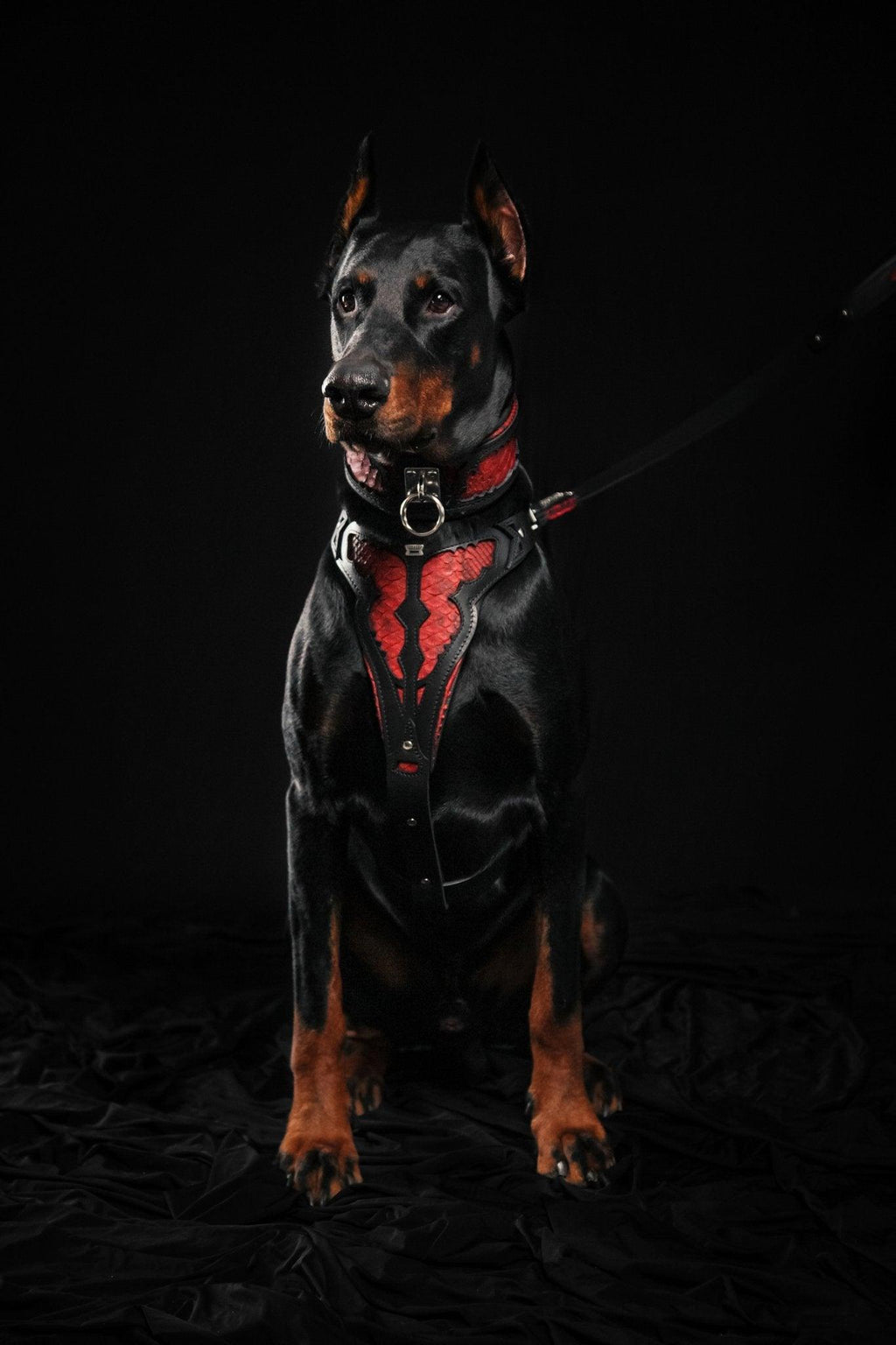 🐉 Red Dragon Collar - Cuir Noir & Python Rouge | M–XXL