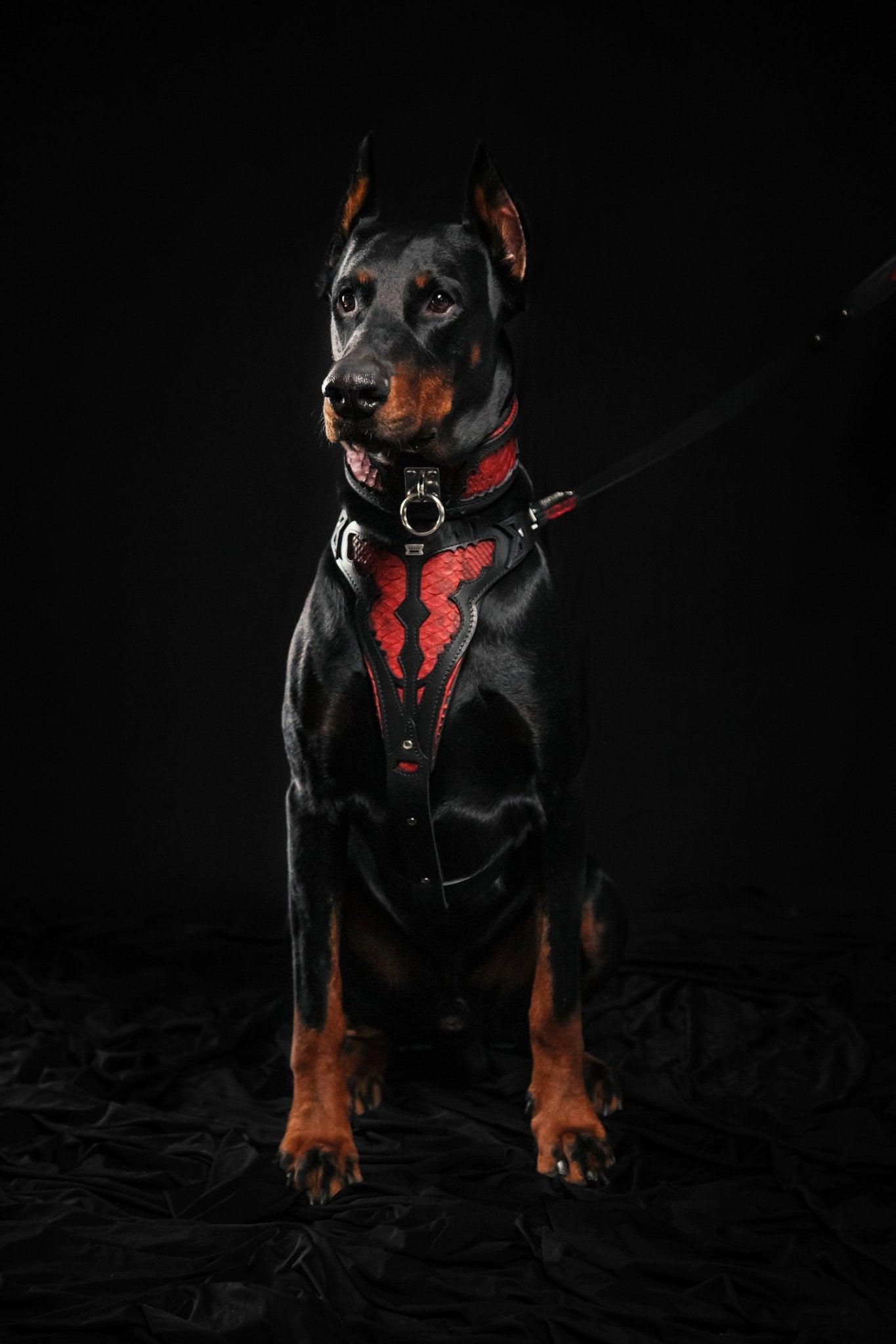 🐉 Red Dragon Collar - Cuir Noir & Python Rouge | M–XXL