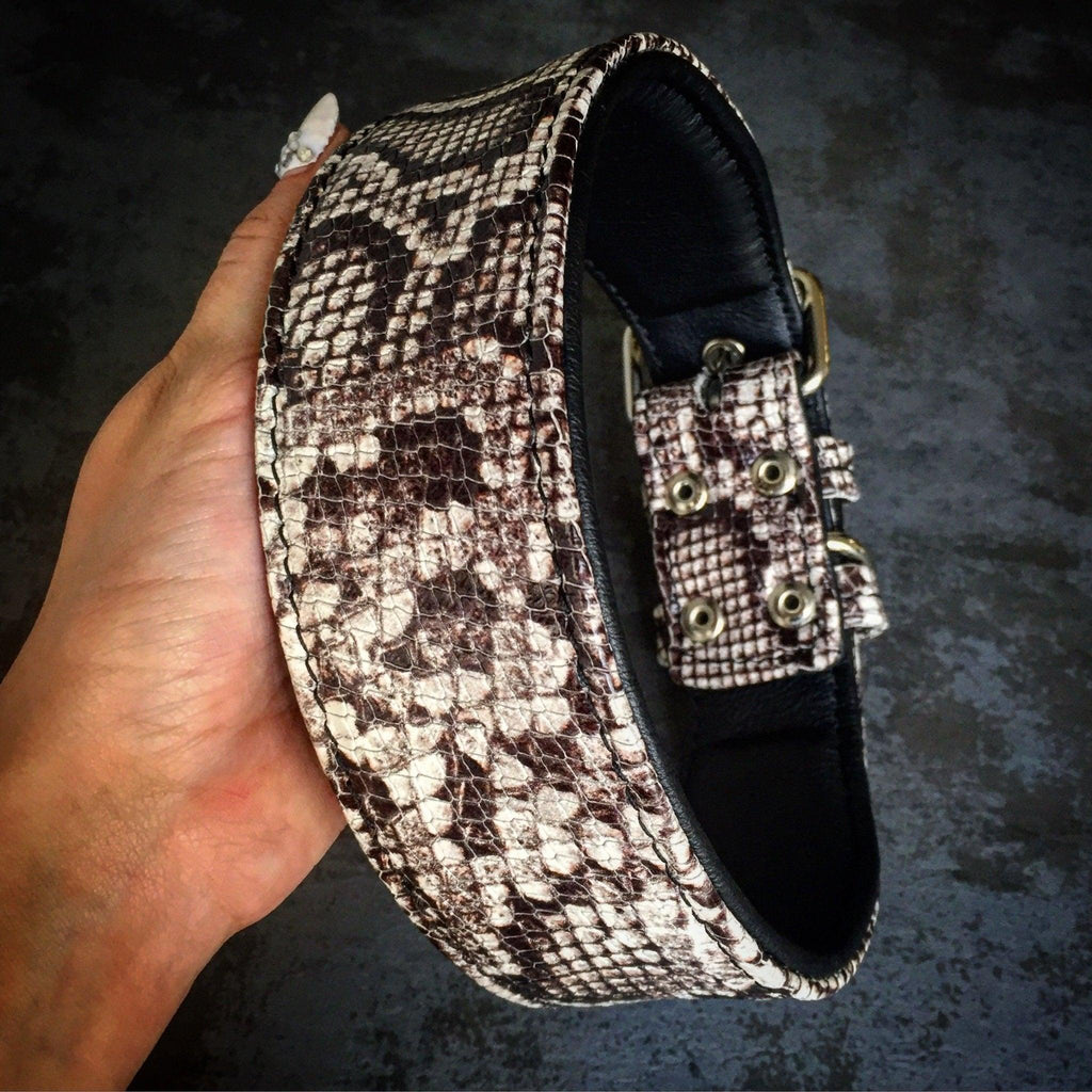 🐍 Rock Python Collar - Cuir Python Print & Soft Cushion | S–XXL