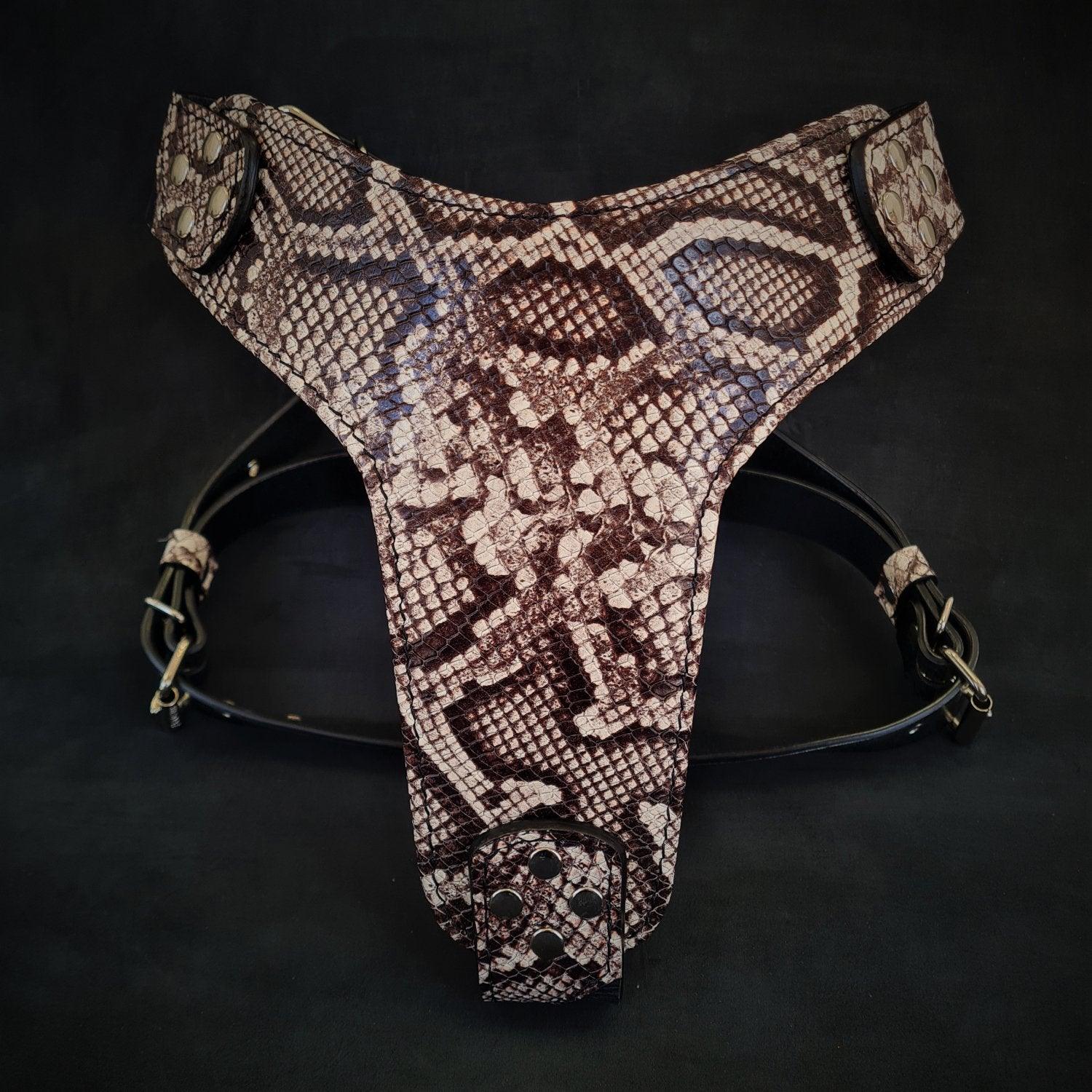 Luxe Artisanal Dog 🐺 BESTIA “Rock Python” - Harnais Cuir Véritable & Python‑Print Exclusif (Fait Main en Europe)
