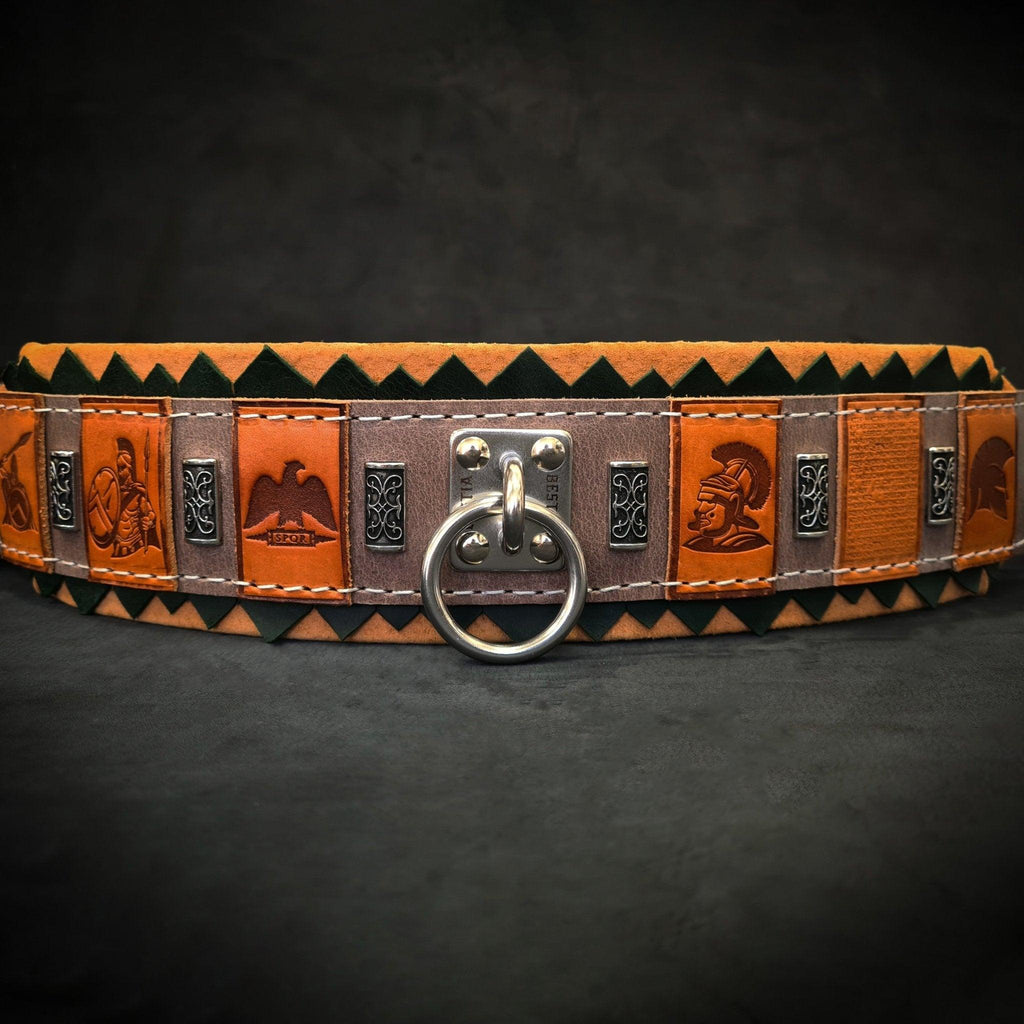 🛡️🐕 SPQR Collar - Imperial Strength, Modern Craft