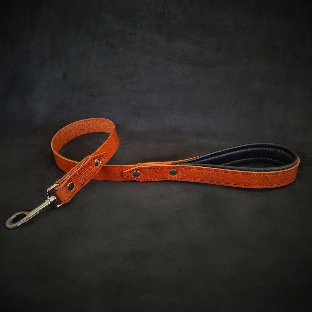 The "Style" leash
