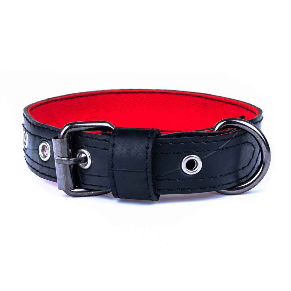 Eco‑Friendly/Vegan Premium 🐶 Collier Vegan Upcyclé - Caoutchouc Recyclé & Laiton Massif (Eco‑Friendly & Fait Main)
