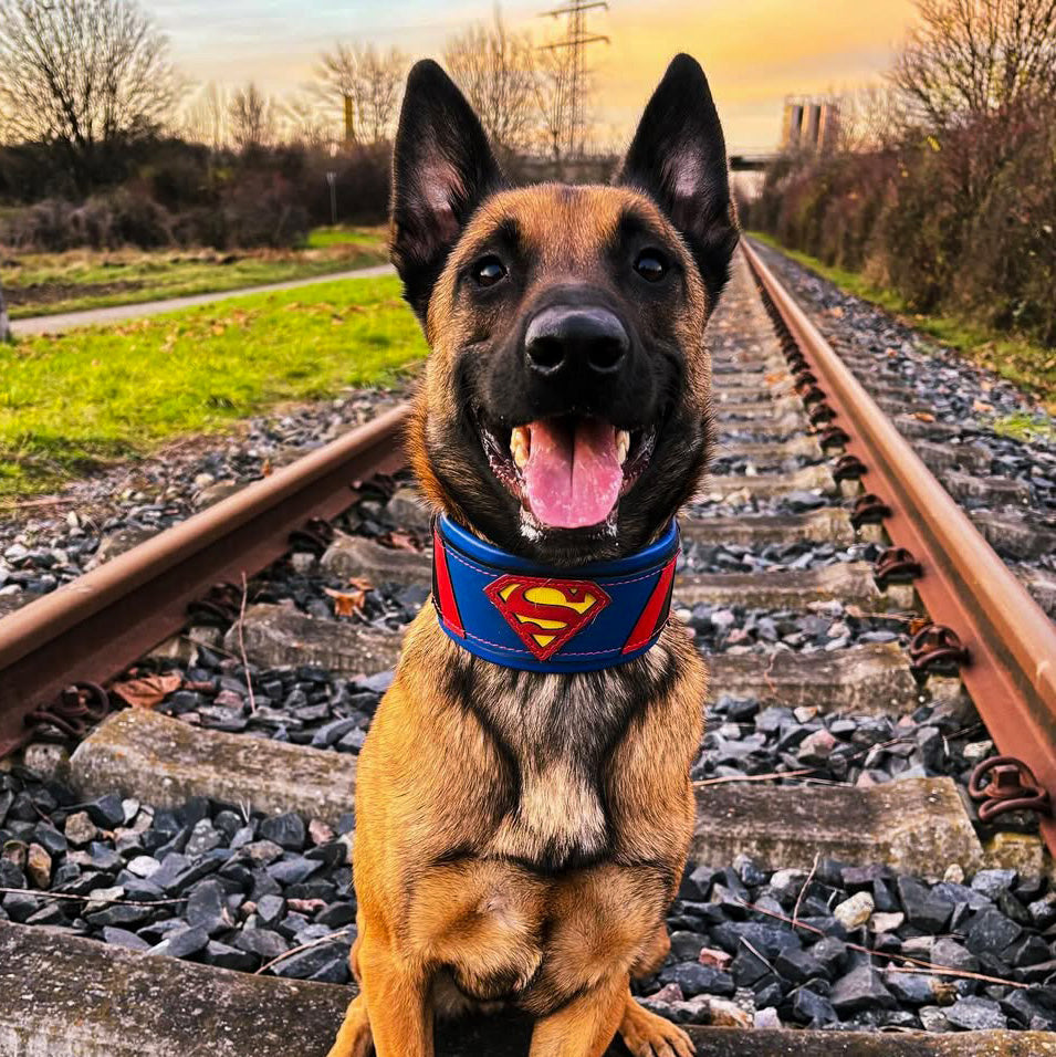 🦸🐕 SUPERDOG Leather Collar - Collier Premium Bleu & Rouge