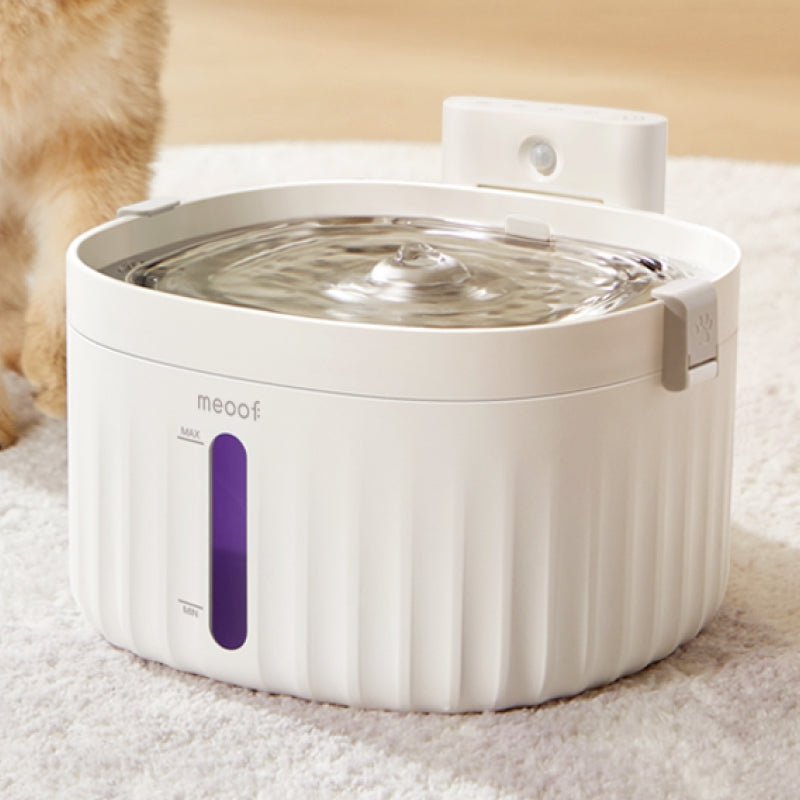 💧 Wireless Smart Sensor Pet Water Fountain - Ceramic Plate Edition | 2.0L