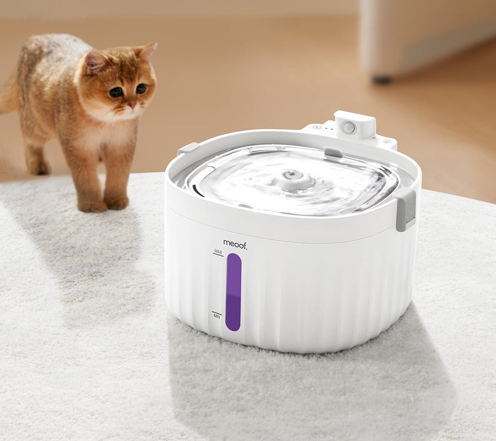 💧 Wireless Smart Sensor Pet Water Fountain - Ceramic Plate Edition | 2.0L