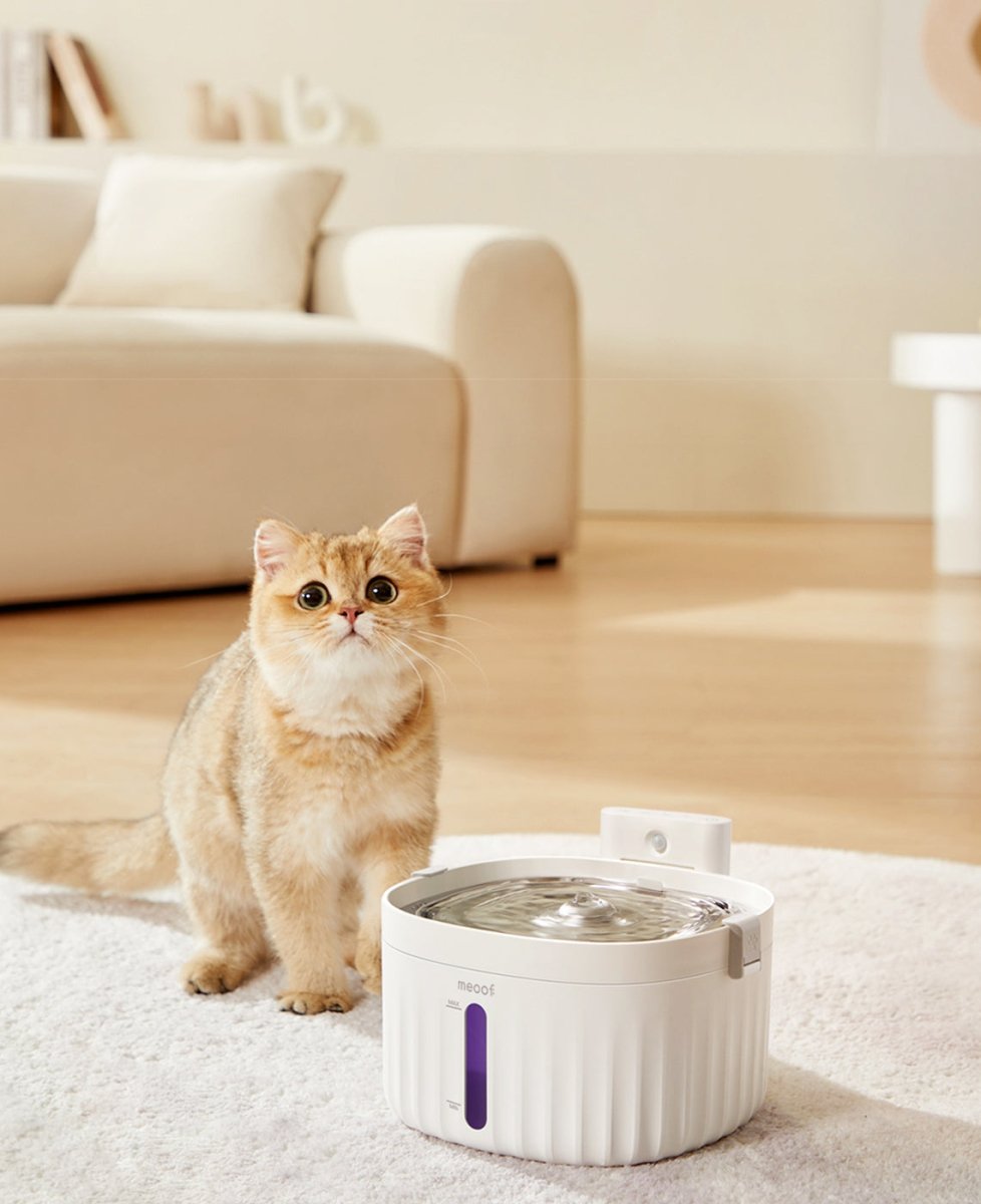 💧 Wireless Smart Sensor Pet Water Fountain - Ceramic Plate Edition | 2.0L