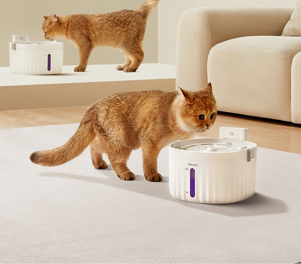 💧 Wireless Smart Sensor Pet Water Fountain - Ceramic Plate Edition | 2.0L