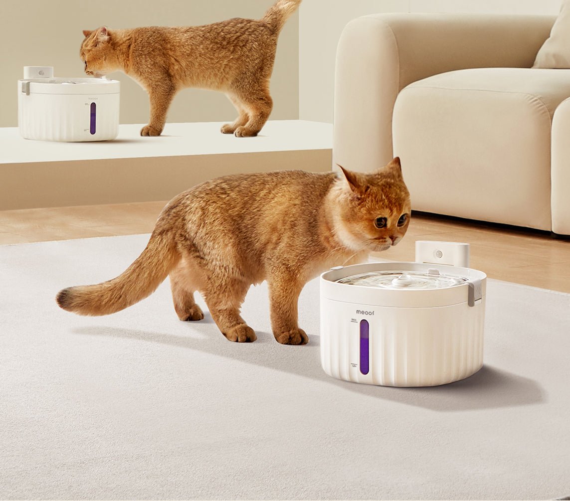 💧 Wireless Smart Sensor Pet Water Fountain - Ceramic Plate Edition | 2.0L